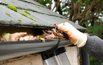 gutter cleaning Dadlington, Leicestershire